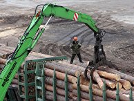 Деревообрабатывающее предприятие Деревообрабатывающее предприятие