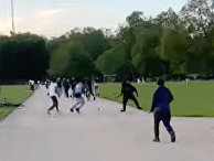 Резня в Гайд-парке Лондона Резня в Гайд-парке Лондона