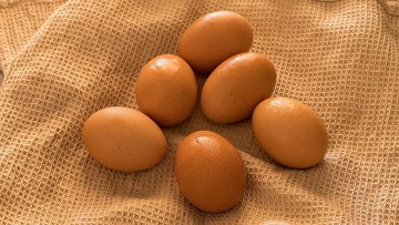 Что полезного в желтке яйца