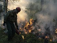 Тушение лесных пожаров в Якутии Тушение лесных пожаров в Якутии