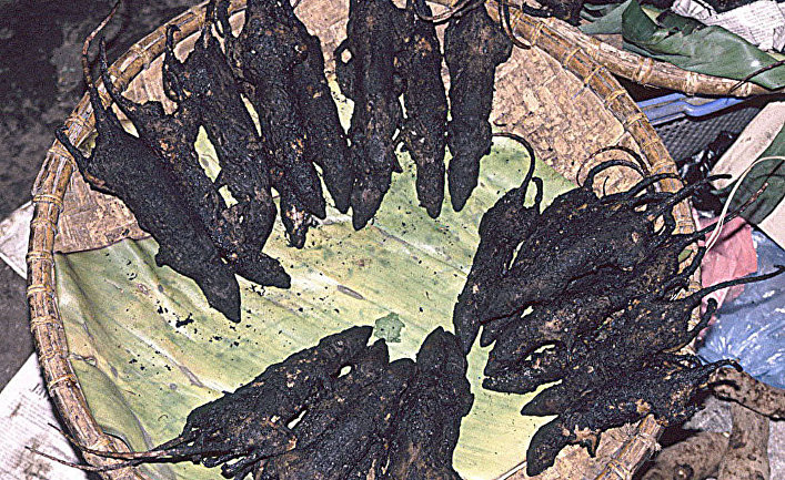 Паники