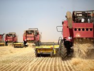 Уборка урожая пшеницы в Волгоградской области Уборка урожая пшеницы в Волгоградской области