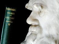 Бюст Чарлза Дарвина Бюст Чарлза Дарвина