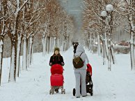 Женщины с колясками гуляют в Юнтоловском заказнике в Санкт-Петербурге Женщины с колясками гуляют в Юнтоловском заказнике в Санкт-Петербурге