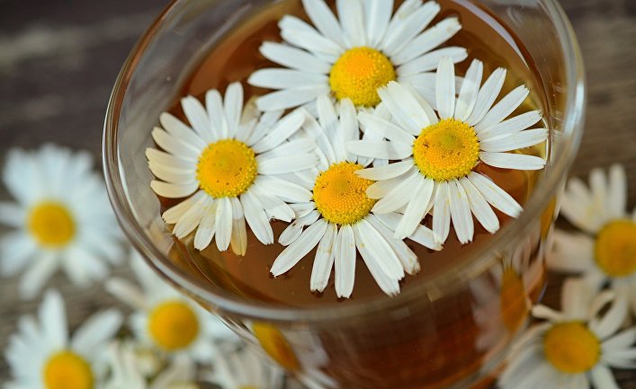 Что имеет горький вкус. Смотреть фото Что имеет горький вкус. Смотреть картинку Что имеет горький вкус. Картинка про Что имеет горький вкус. Фото Что имеет горький вкус Что имеет горький вкус. Смотреть фото Что имеет горький вкус. Смотреть картинку Что имеет горький вкус. Картинка про Что имеет горький вкус. Фото Что имеет горький вкус