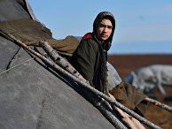 Коренные народности Ямала Коренные народности Ямала