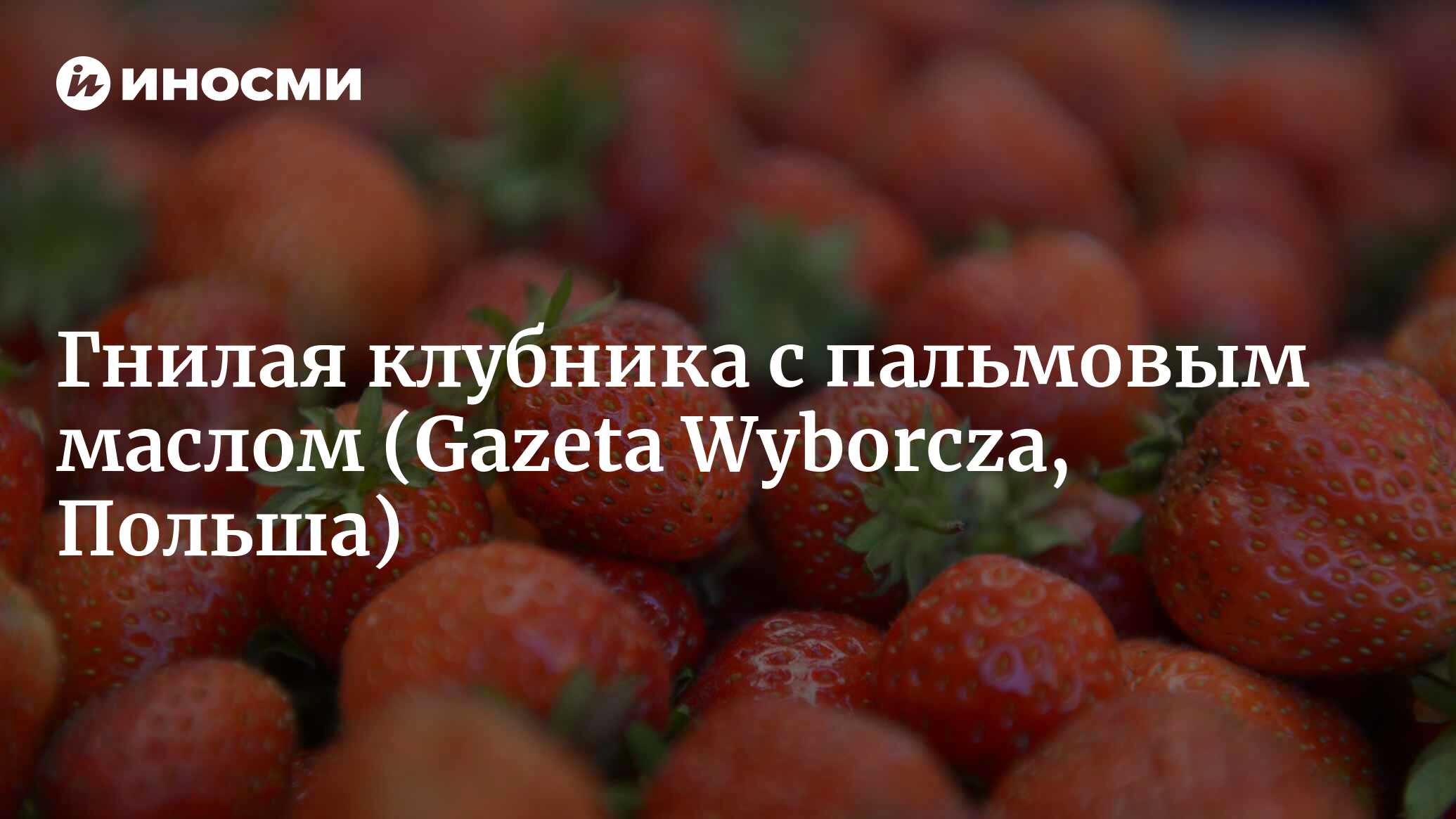 Крым наш, ну и что? Гнилая клубника с маслом для пусковых установок  баллистических ракет (Gazeta Wyborcza, Польша) | 28.01.2022, ИноСМИ