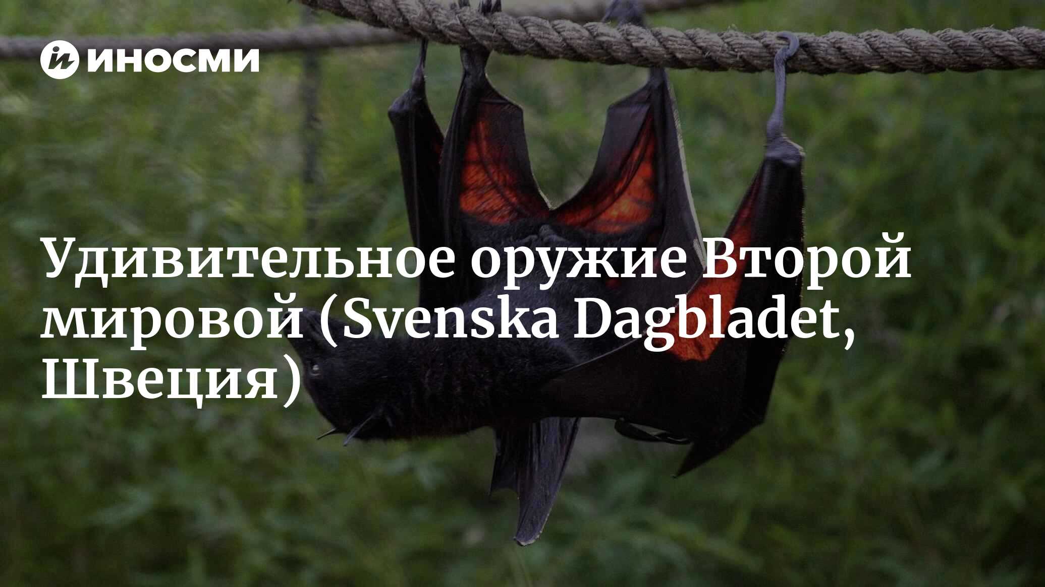 Удивительное оружие Второй мировой (Svenska Dagbladet, Швеция) |  07.10.2022, ИноСМИ