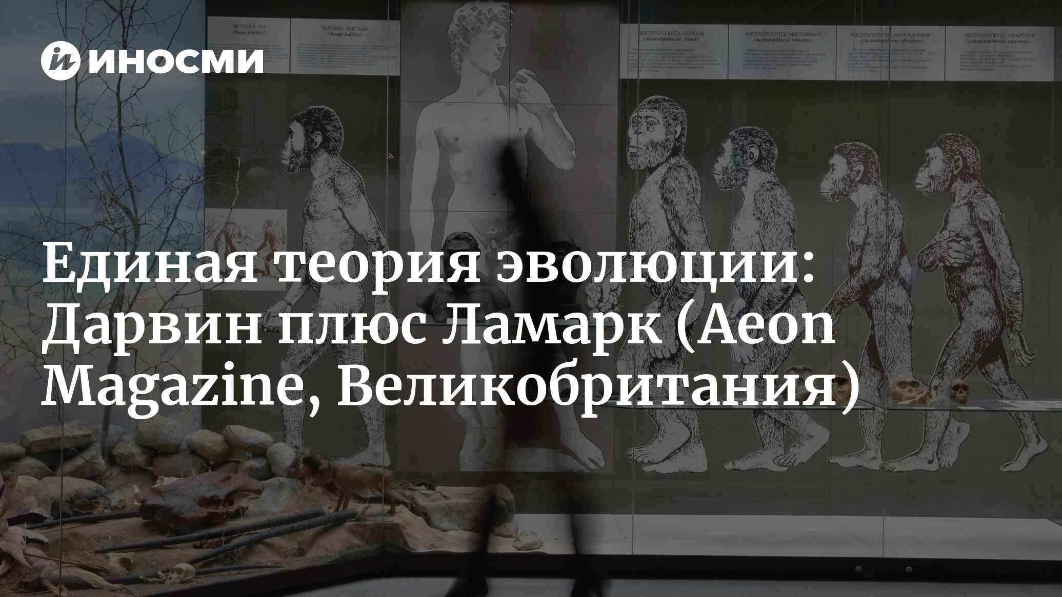 Единая теория эволюции: Теория Дарвина об эволюции путем естественного  отбора неполна без вклада антигероя Ламарка (Aeon Magazine, Великобритания)  | 07.10.2022, ИноСМИ