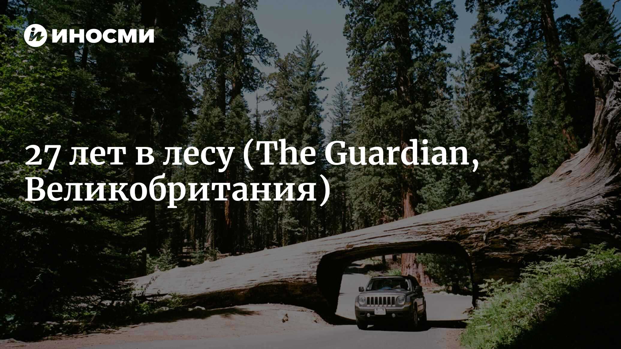 Человек, который прожил в лесу 27 лет (The Guardian, Великобритания) |  07.10.2022, ИноСМИ