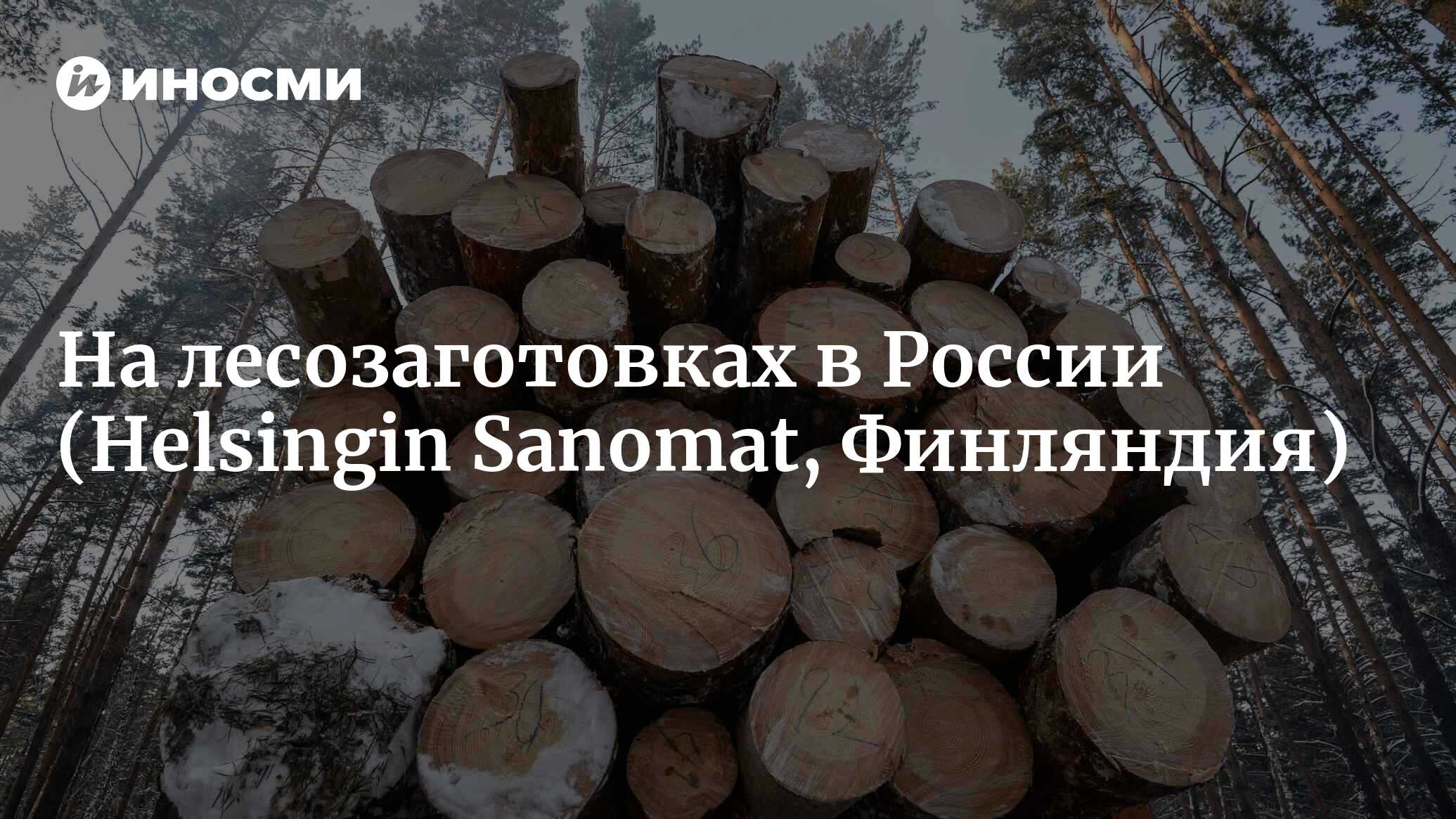 Когда я взял в руки бензопилу весом 5,6 килограммов, понял, что впереди  тяжелый день»: как финский журналист поработал в России на лесозаготовках  (Helsingin Sanomat, Финляндия) | 07.10.2022, ИноСМИ