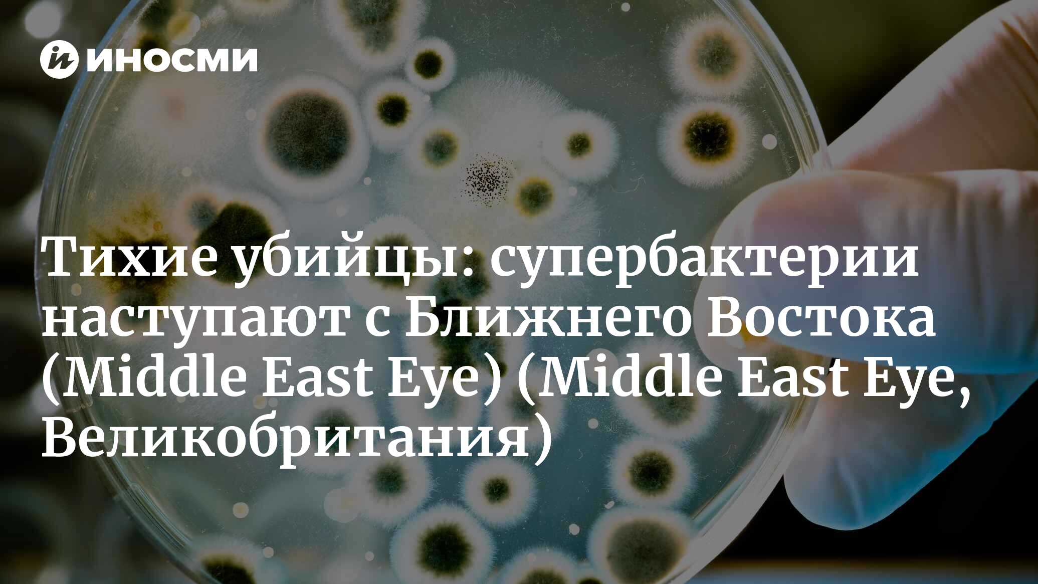 Тихий убийца: устойчивые к лекарствам бактерии атакуют Ближний Восток  (Middle East Eye, Великобритания) (Middle East Eye, Великобритания) |  07.10.2022, ИноСМИ