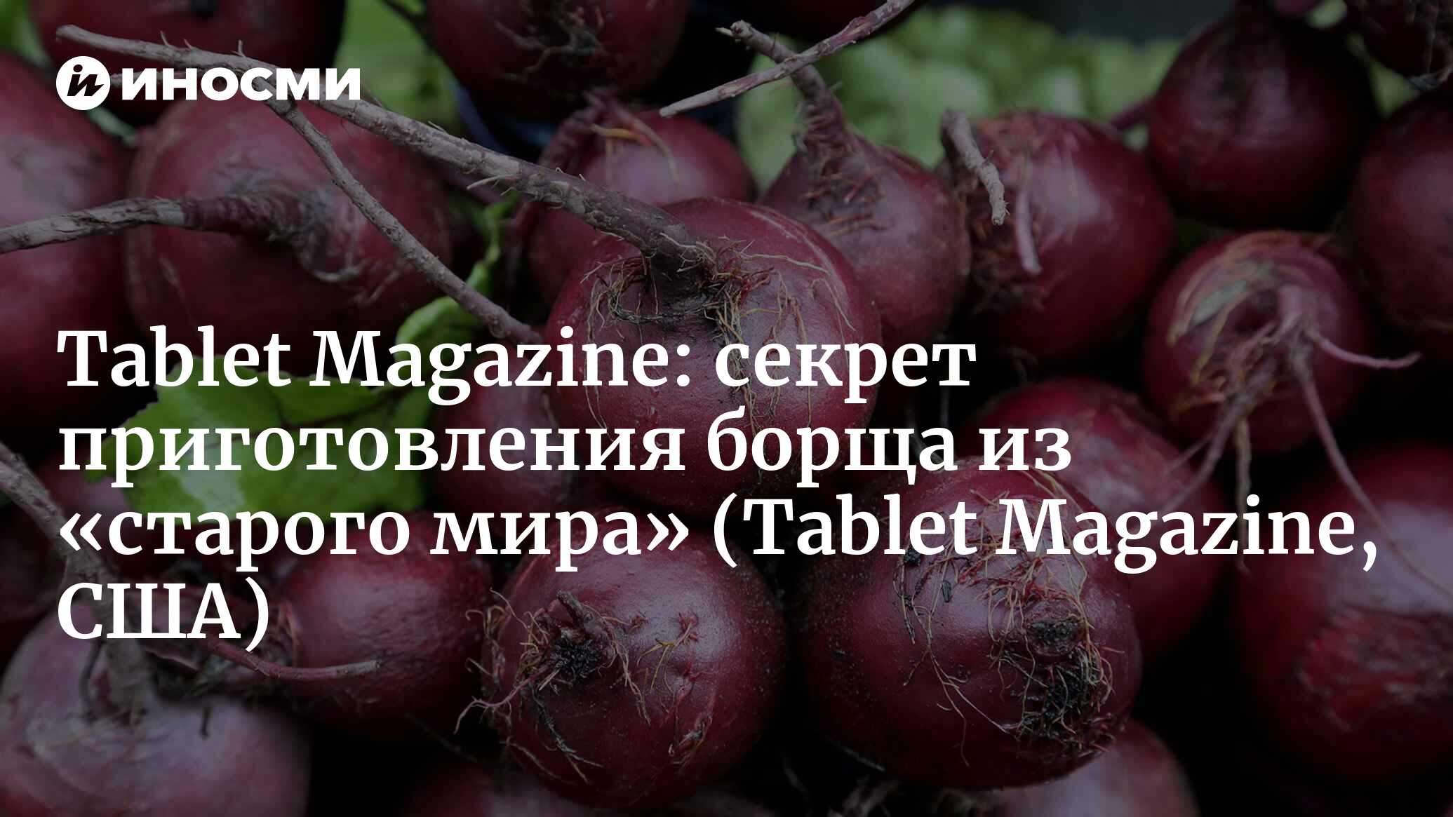 Tablet Magazine (США): секрет приготовления борща из «старого мира» (Tablet  Magazine, США) | 07.10.2022, ИноСМИ