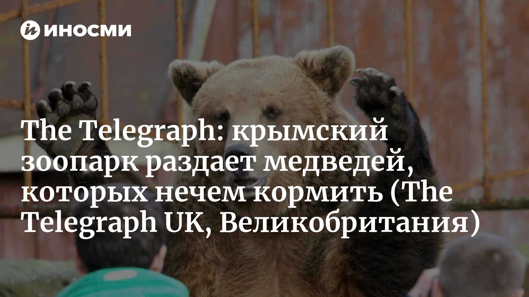 The Telegraph (Великобритания): владелец частного крымского зоопарка  умоляет людей взять 30 его медведей, чтобы не умерщвлять их (The Telegraph  UK, Великобритания) | 07.10.2022, ИноСМИ