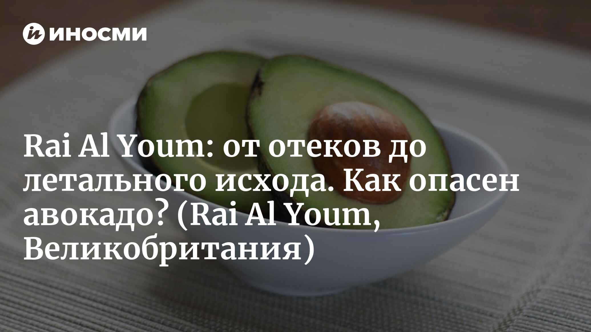 Rai Al Youm (Великобритания): когда употребление авокадо губительно для  человека? (Rai Al Youm, Великобритания) | 07.10.2022, ИноСМИ