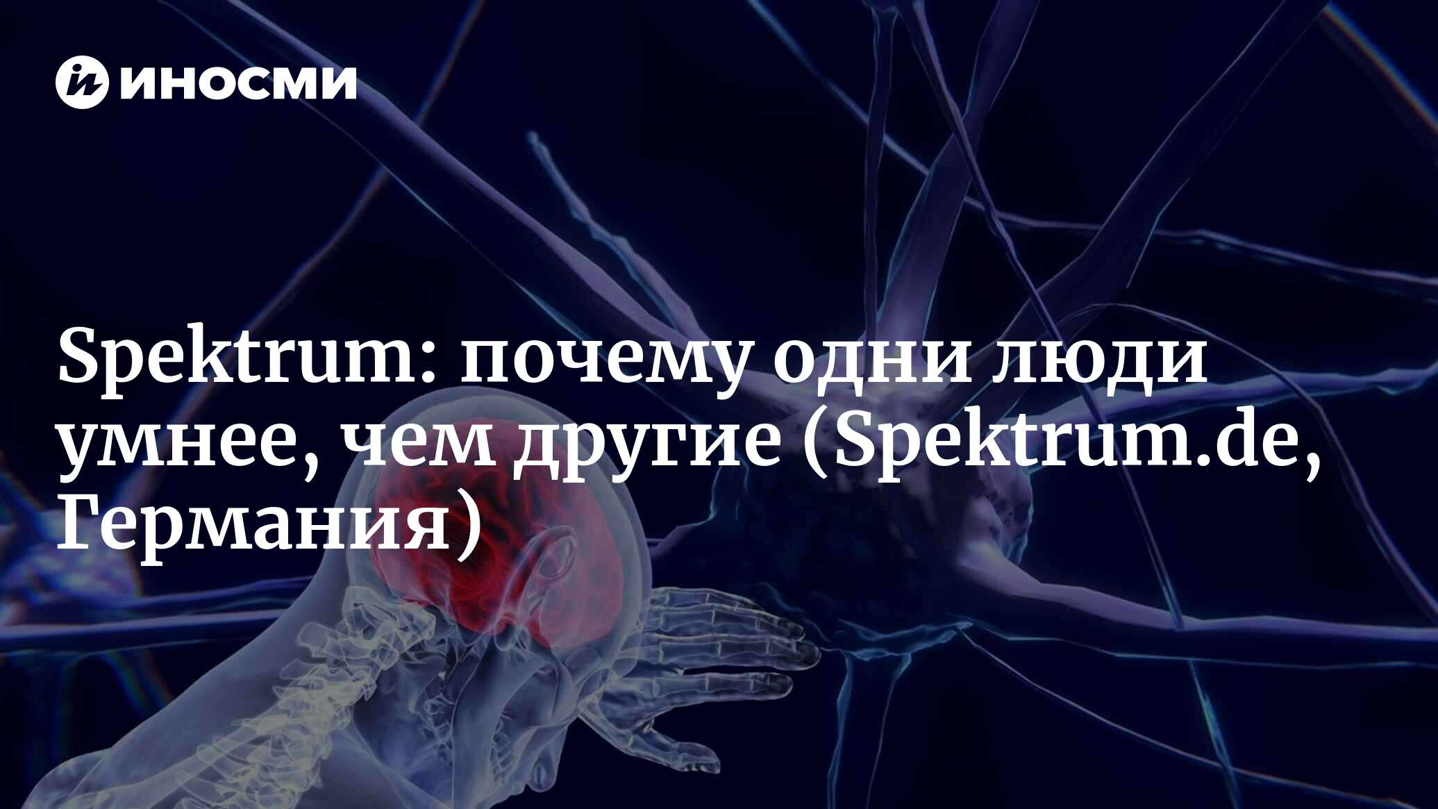 Spektrum (Германия): откуда берется интеллект (Spektrum.de, Германия) |  07.10.2022, ИноСМИ