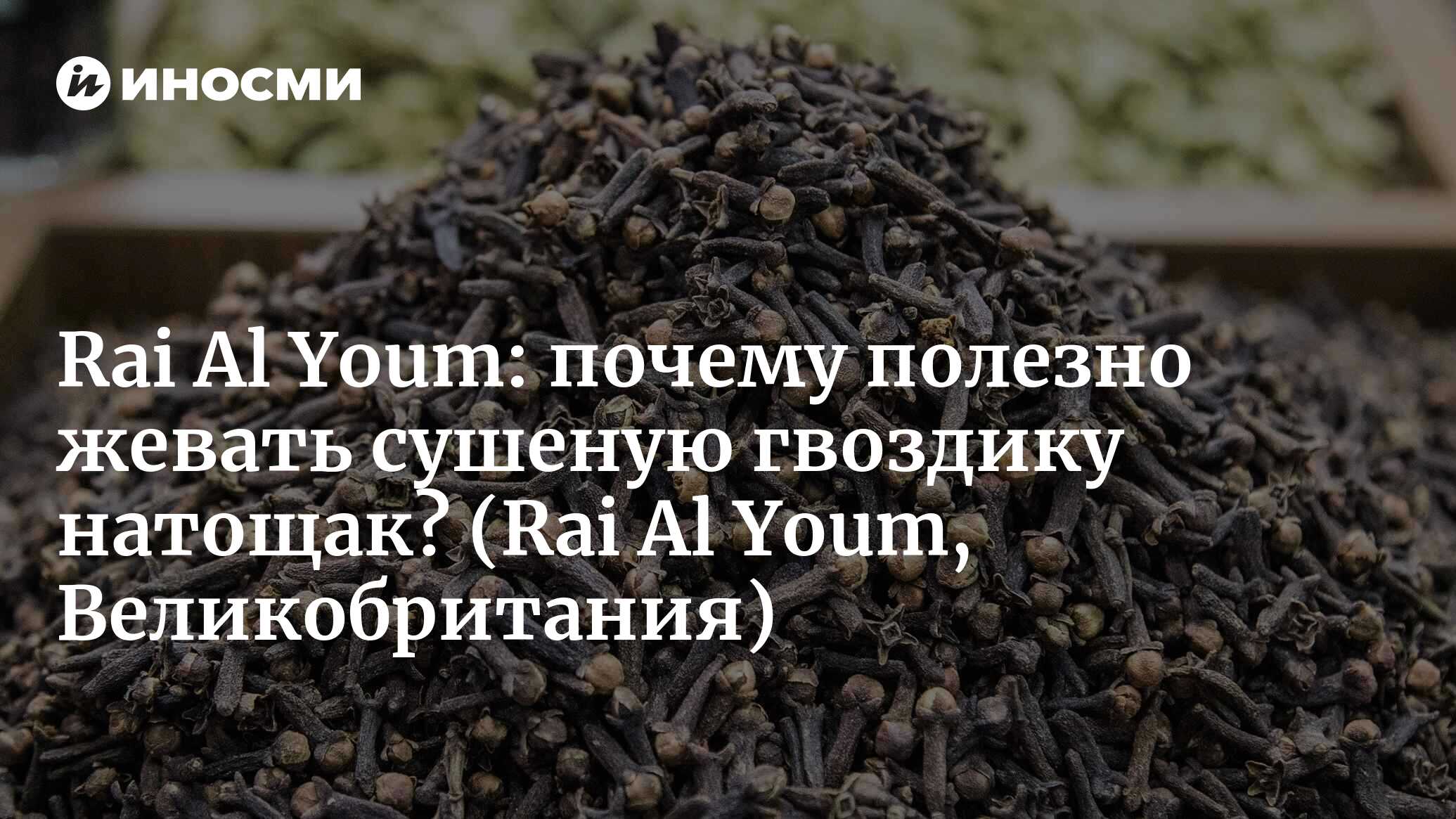 Rai Al Youm (Великобритания): почему полезно жевать сушеную гвоздику  натощак? | 07.10.2022, ИноСМИ