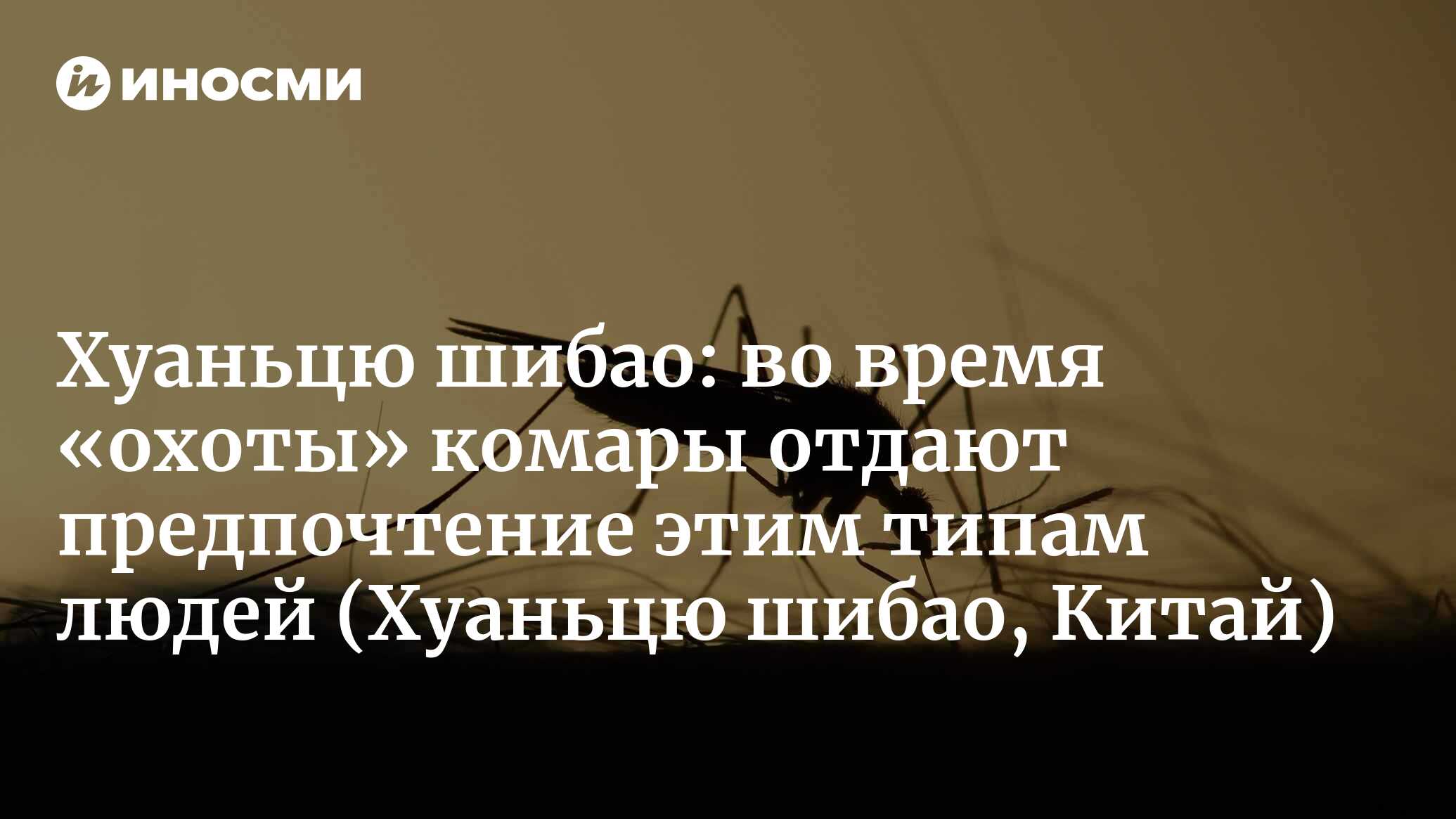 Хуаньцю шибао (Китай): рассказываю вам, почему осенью комары свирепее  тигров (Хуаньцю шибао, Китай) | 07.10.2022, ИноСМИ