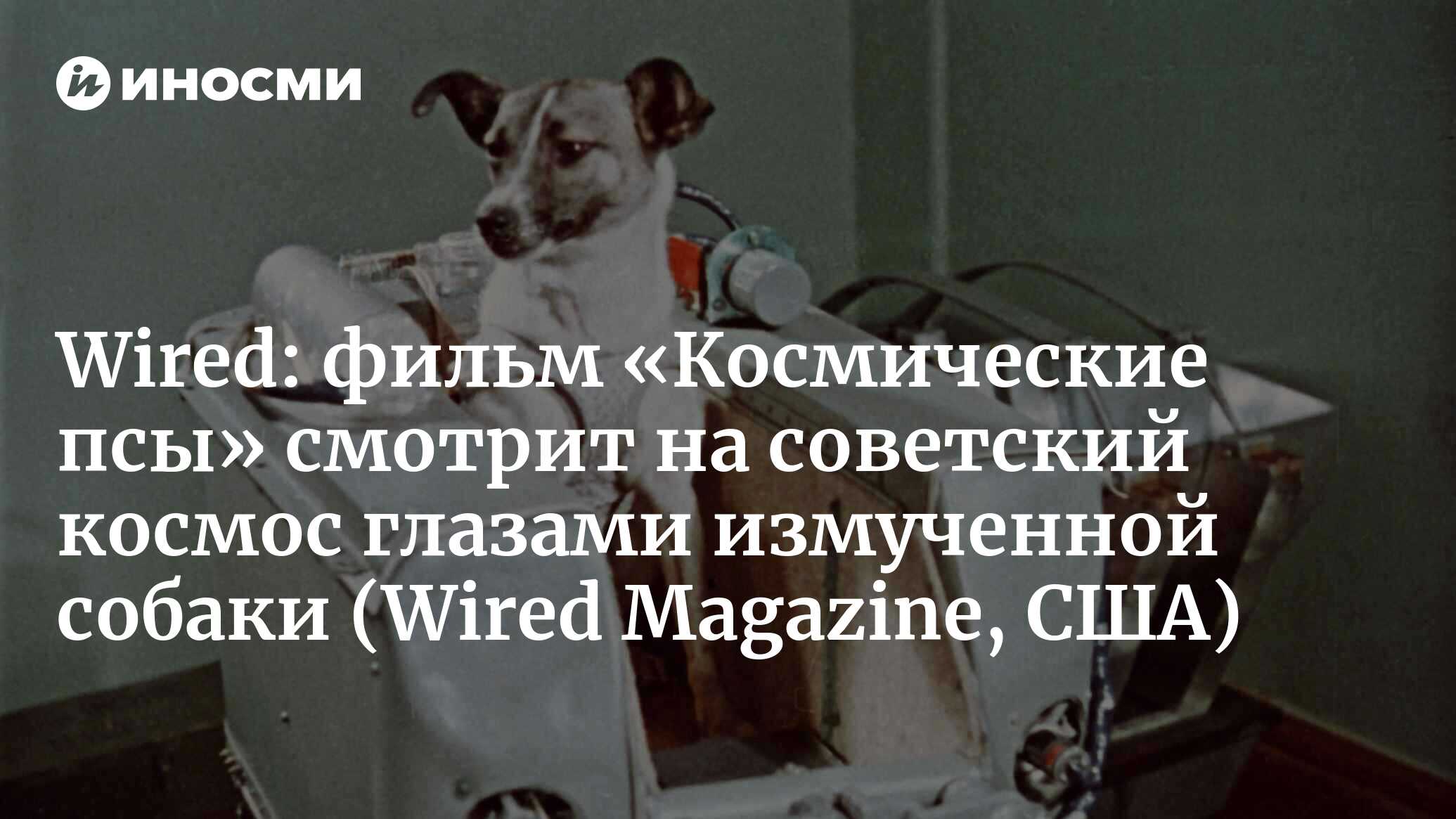 Wired (США): Лайка, покойся с миром (Wired Magazine, США) | 07.10.2022,  ИноСМИ