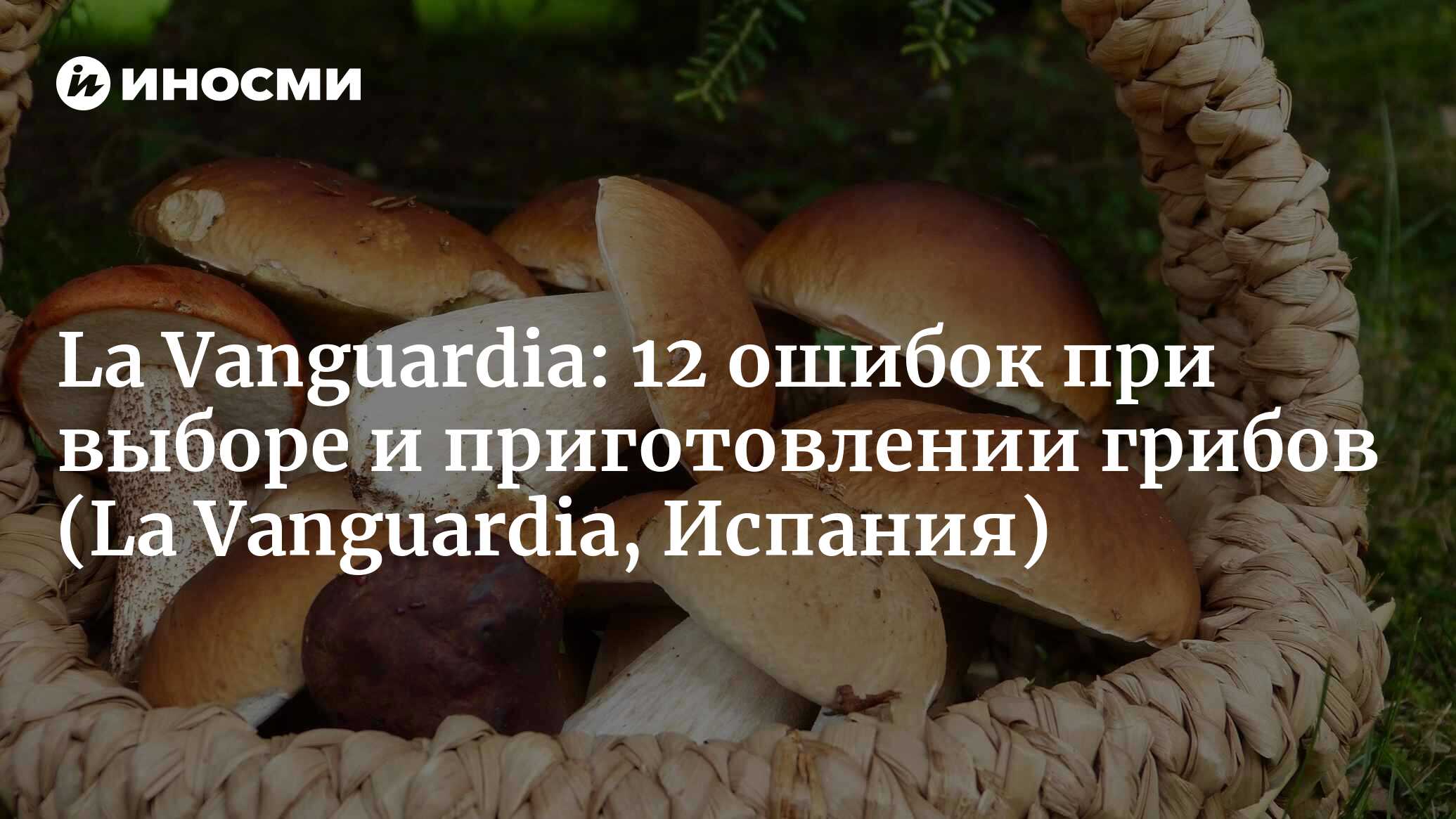 La Vanguardia (Испания): 12 ошибок при выборе и приготовлении грибов (La  Vanguardia, Испания) | 07.10.2022, ИноСМИ