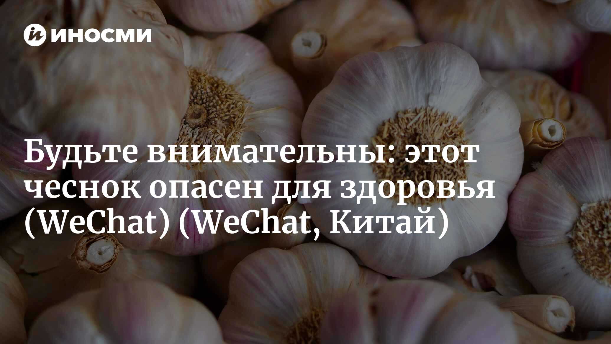 WeChat (Китай): блюдо без чеснока, как машина без колеса! Какой чеснок  полезнее – свежий или термически обработанный? (WeChat, Китай) |  07.10.2022, ИноСМИ