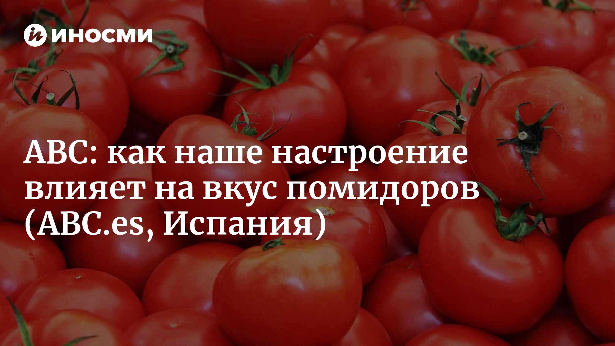 Помидор мужской род. Приснились помидоры. Помидоры во сне к чему снится. Помидоры во сне к чему снится женщине красные. К чему снятся помидоры женщине много.