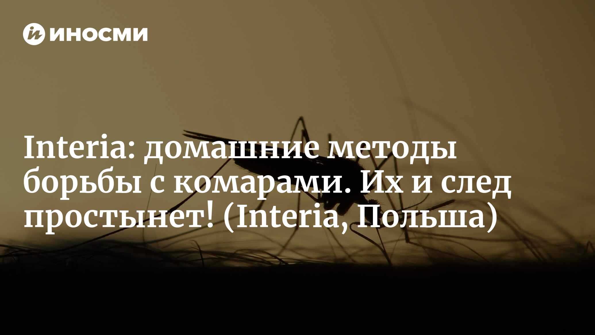 Interia (Польша): домашние методы борьбы с комарами. Их и след простынет!  (Interia, Польша) | 07.10.2022, ИноСМИ