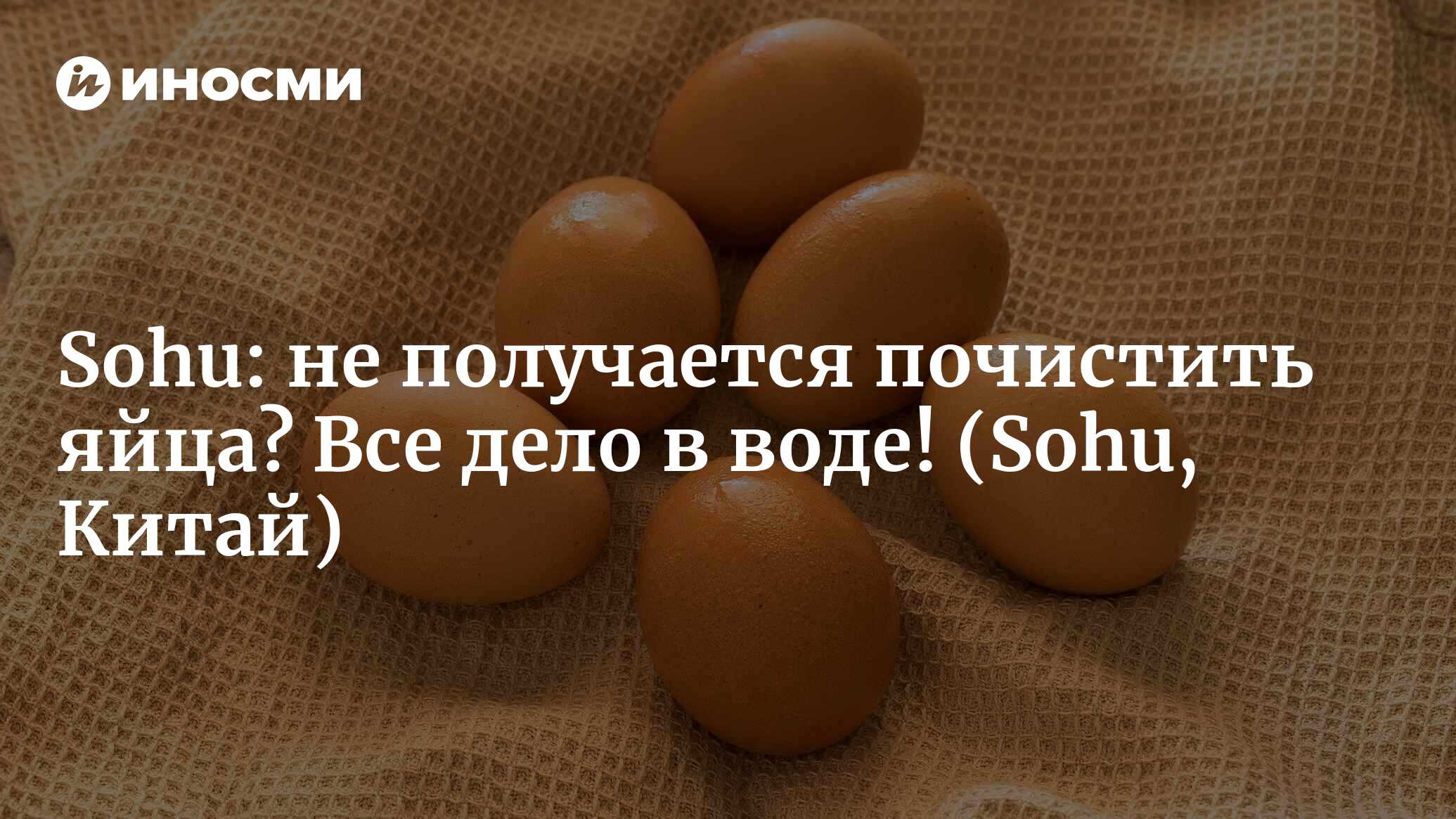 Sohu (Китай): при варке яиц их надо класть в холодную или горячую воду?  Очень многие люди варят яйца неправильно, неудивительно, что потом их  тяжело чистить (Sohu, Китай) | 07.10.2022, ИноСМИ