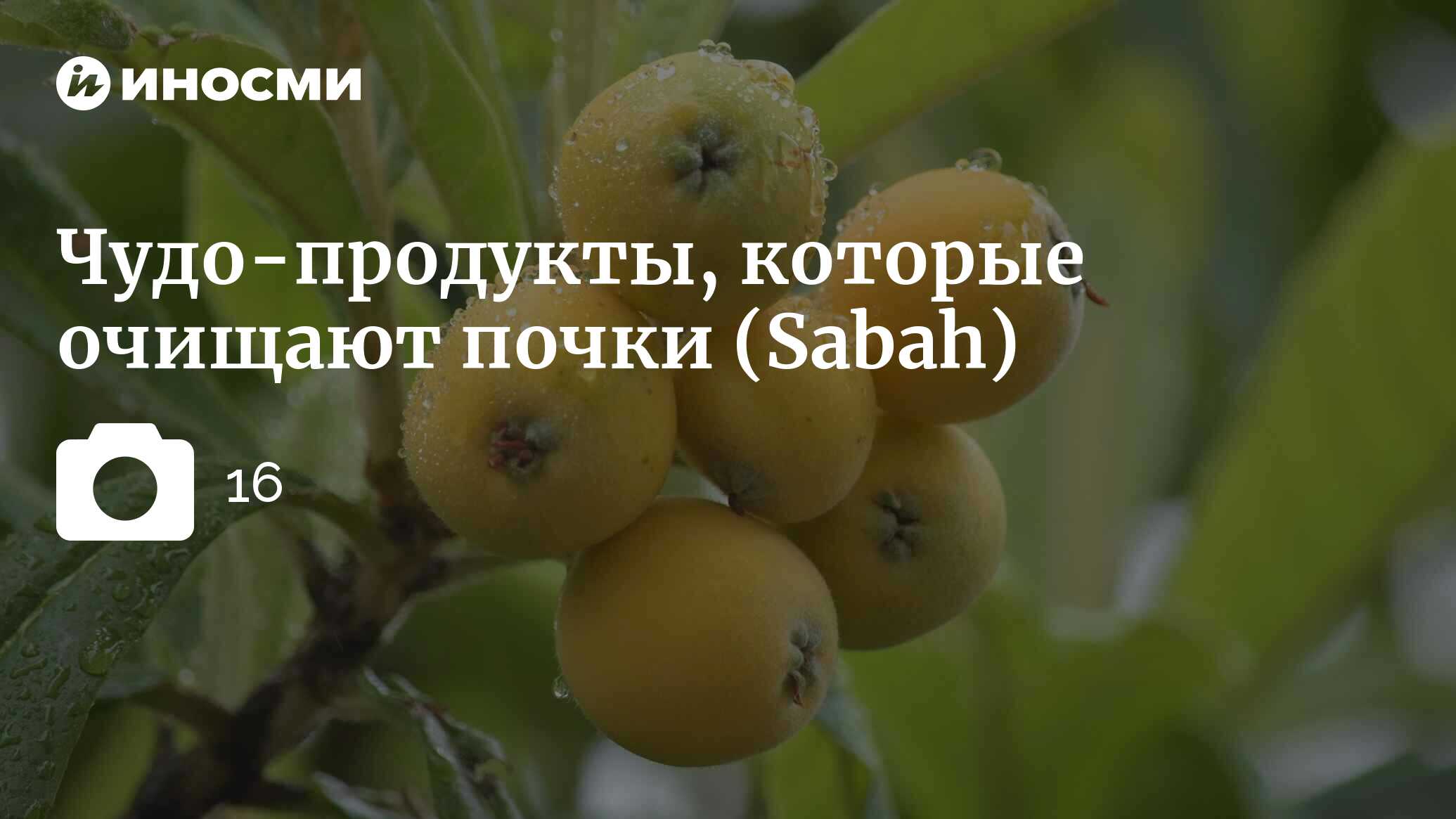 Sabah (Турция): рекомендации о чудо-продуктах от экспертов! Очищают почки  (Sabah, Турция) | 07.10.2022, ИноСМИ