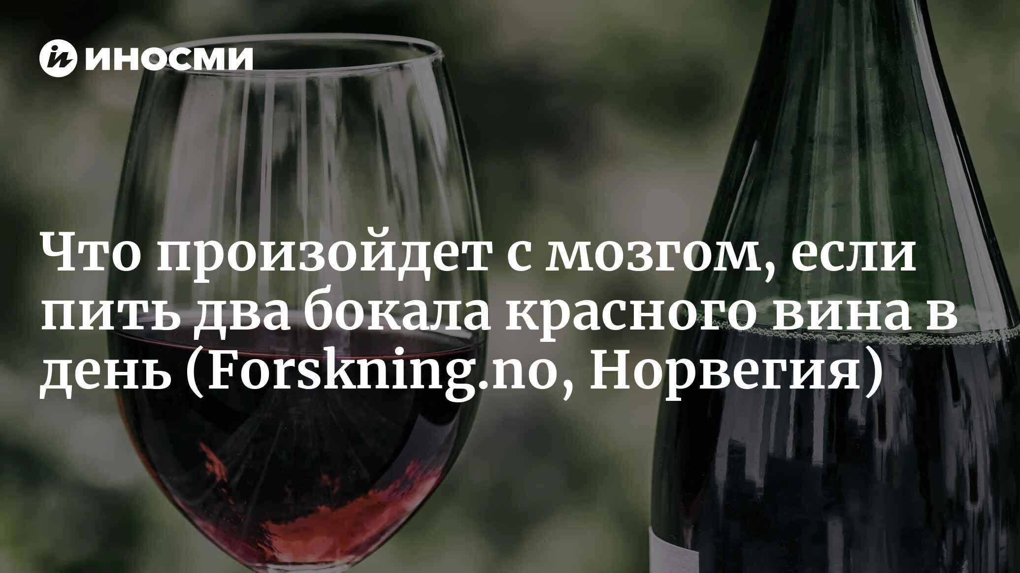 Вот что произойдет с мозгом, если пить два бокала красного вина в день |  25.03.2022, ИноСМИ