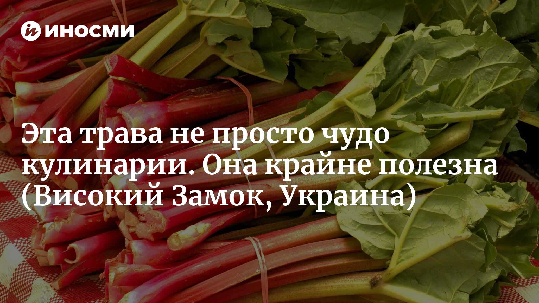 Эта трава не просто чудо кулинарии. Она крайне полезна | 14.05.2022, ИноСМИ