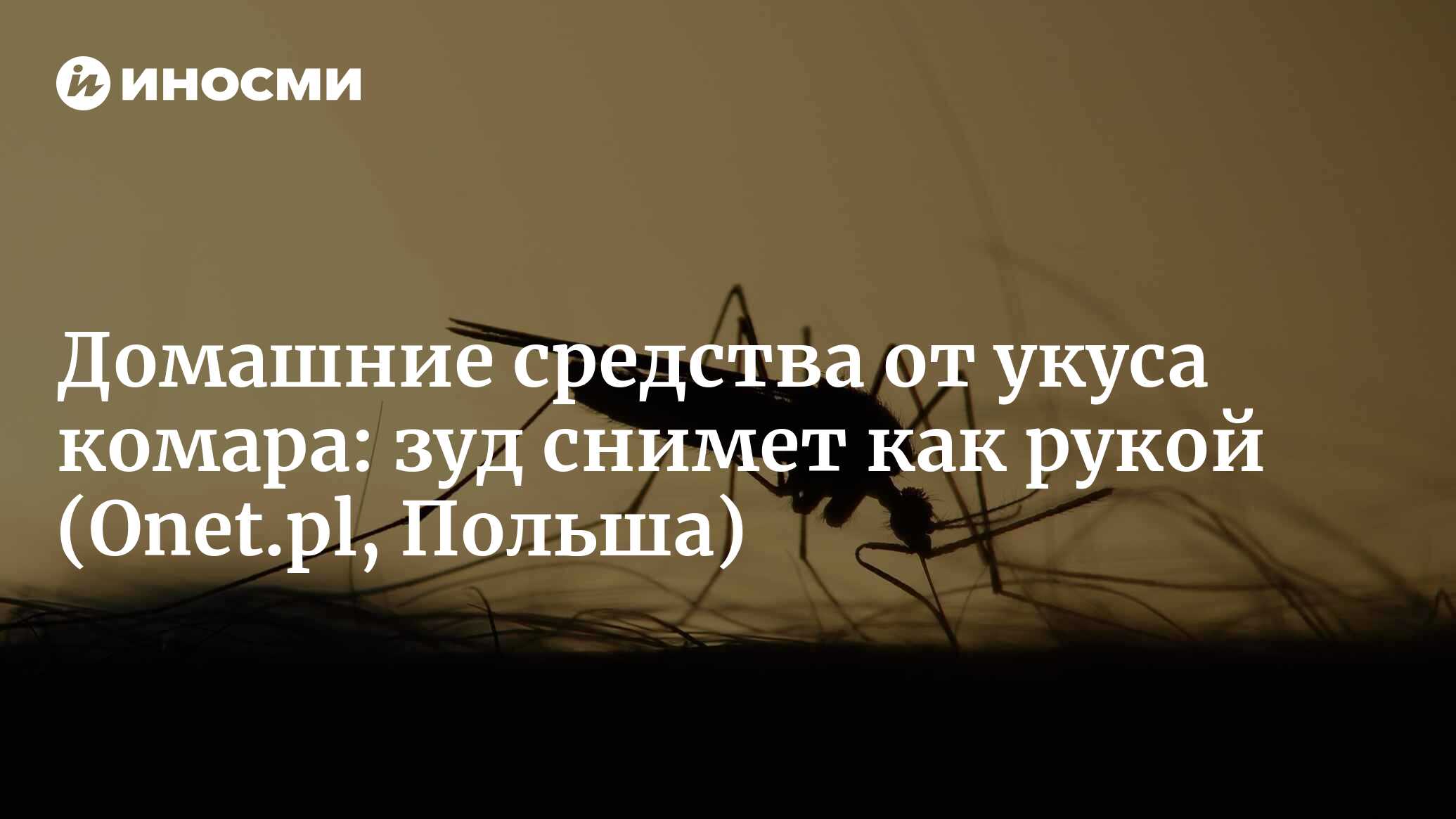 Домашние средства от укуса комара: зуд снимет как рукой | 30.06.2022, ИноСМИ