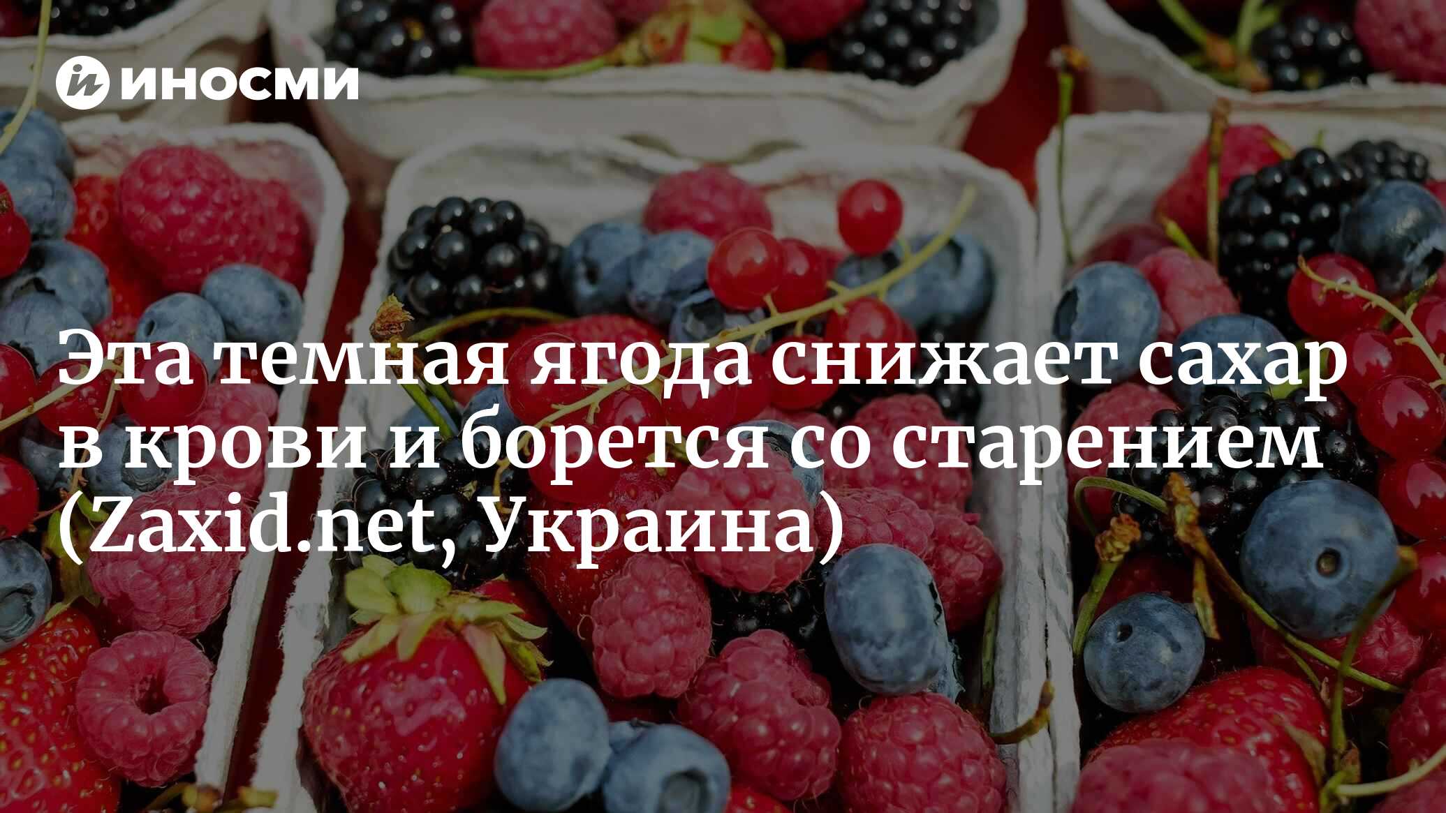 Эта темная ягода снижает сахар в крови и борется со старением | 19.08.2022,  ИноСМИ