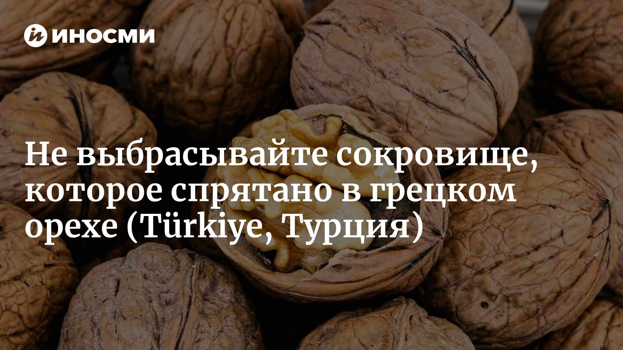 Не выбрасывайте сокровище, которое спрятано в грецком орехе | 27.08.2022,  ИноСМИ