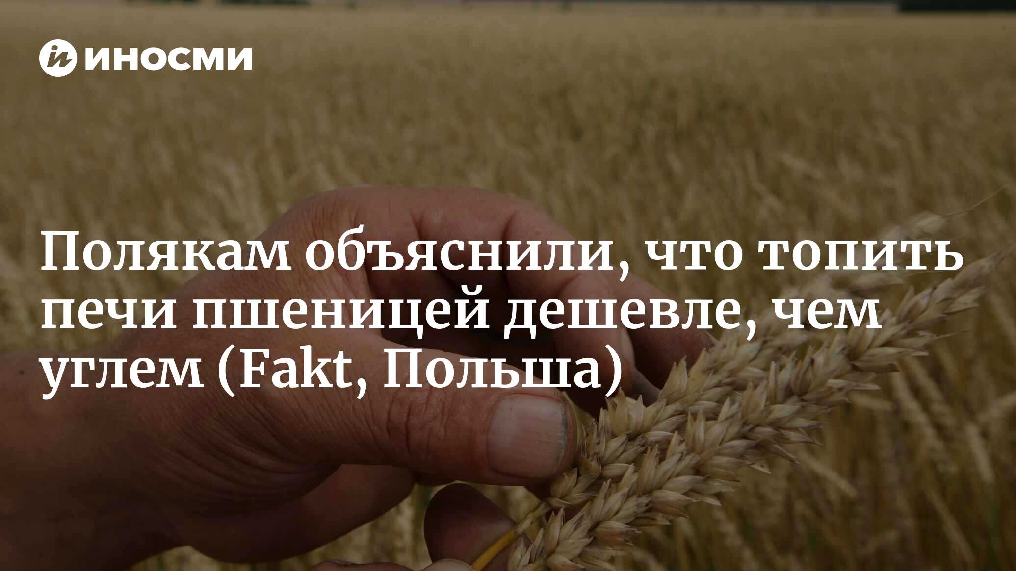 Полякам объяснили, что топить печи пшеницей дешевле, чем углем |  07.09.2022, ИноСМИ