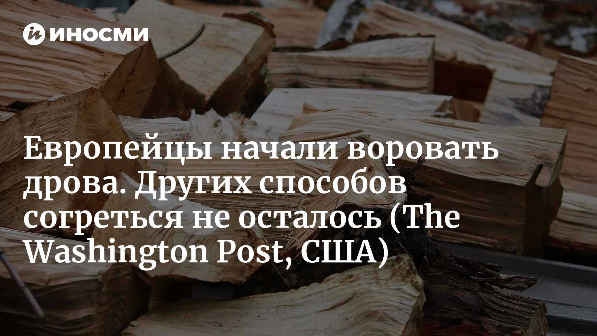 Европейцы начали воровать дрова. Других способов согреться зимой не  осталось | 20.09.2022, ИноСМИ