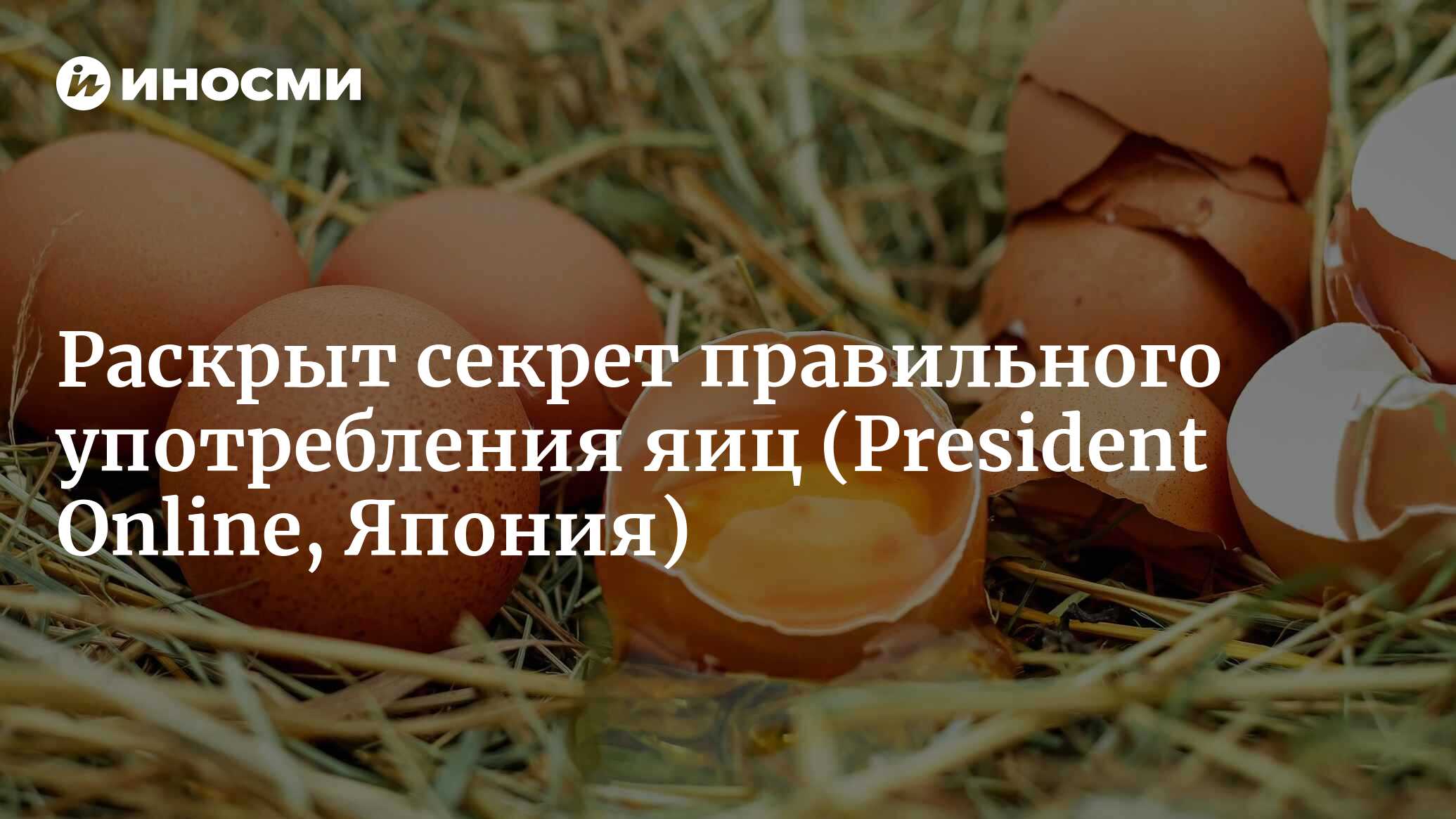 В Японии раскрыли секрет правильного употребления яиц | 12.11.2022, ИноСМИ