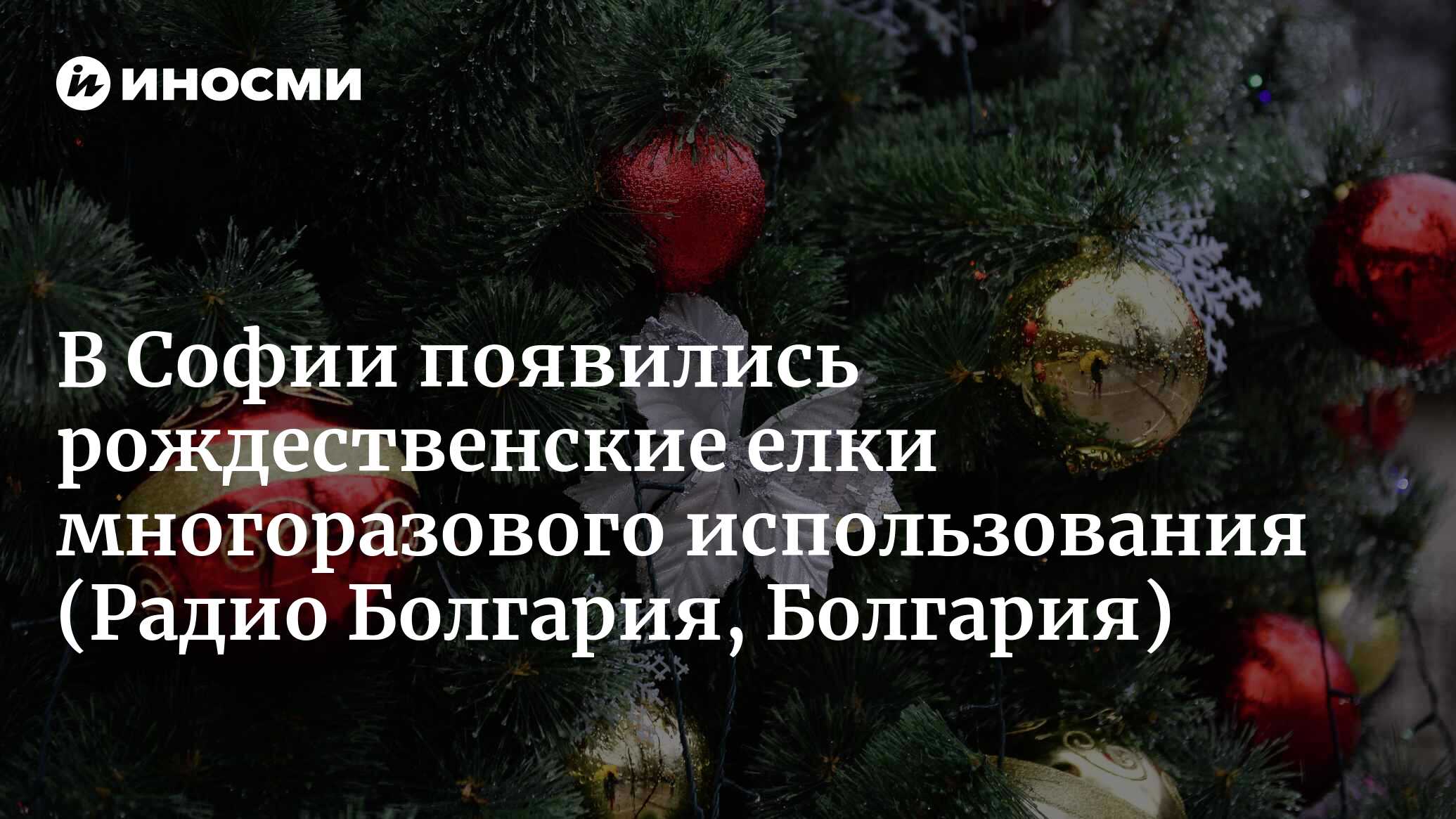 Как и зачем арендовать елку в горшке на Рождество? (Радио Болгария,  Болгария) | 30.12.2022, ИноСМИ