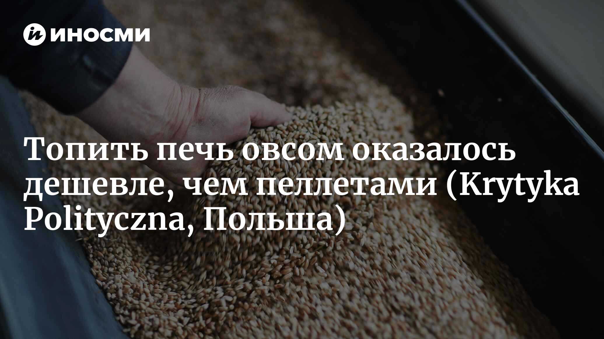 Топлю едой, чтобы были деньги на еду. Считаю, что это ненормально (Krytyka  Polityczna, Польша) | 20.12.2022, ИноСМИ