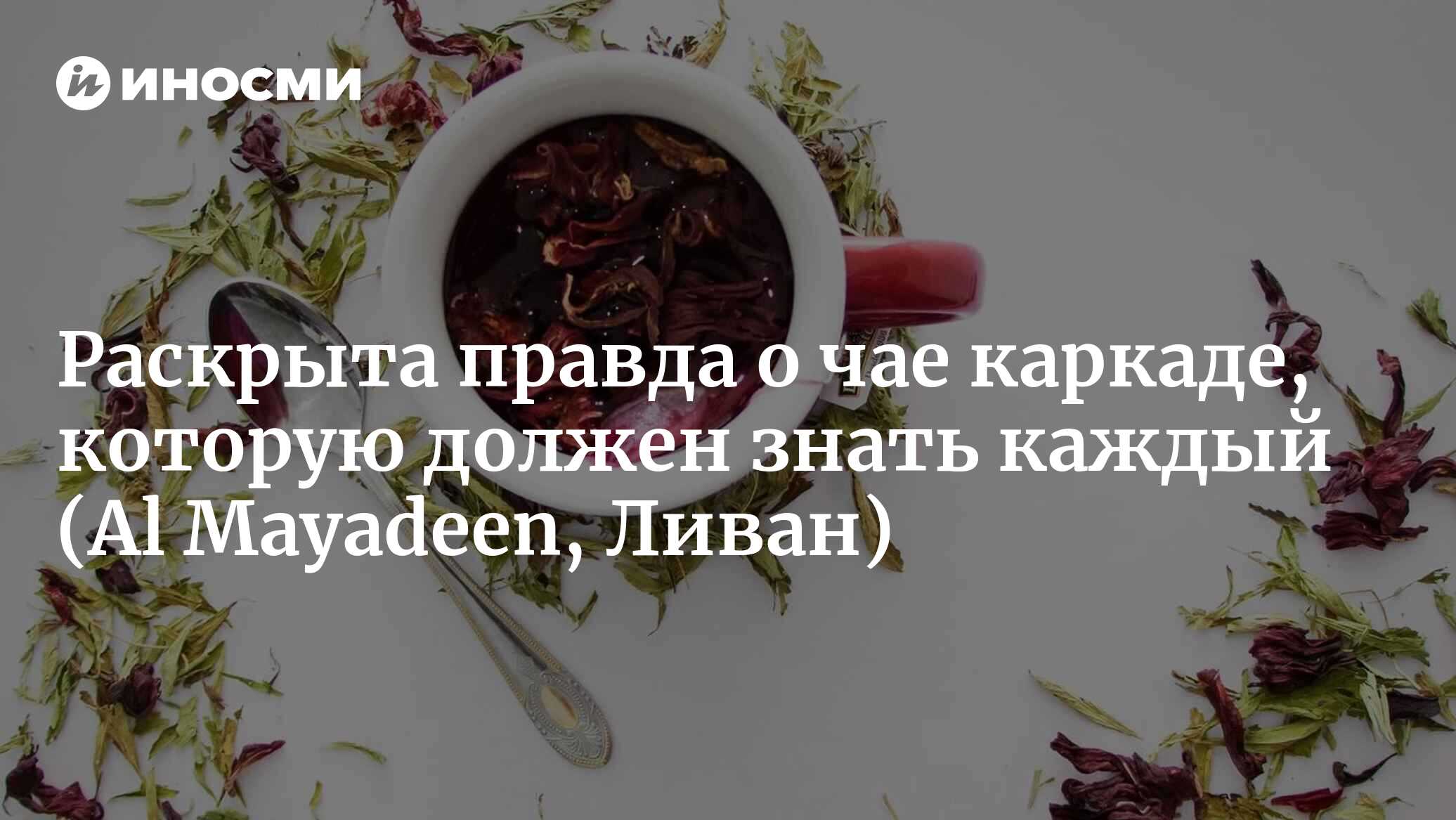 Чай каркаде — больше, чем просто вкусный напиток (Al Mayadeen, Ливан) |  02.01.2023, ИноСМИ