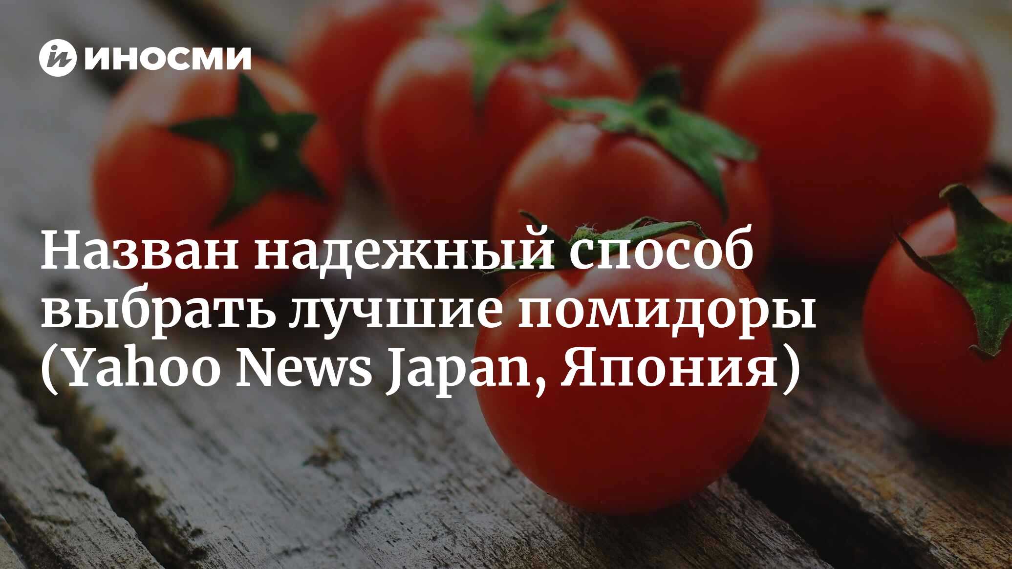 Правда ли, что помидоры помогают похудеть? Узнайте, как правильно их  употреблять и какую пользу они приносят (Yahoo News Japan, Япония) |  12.02.2023, ИноСМИ