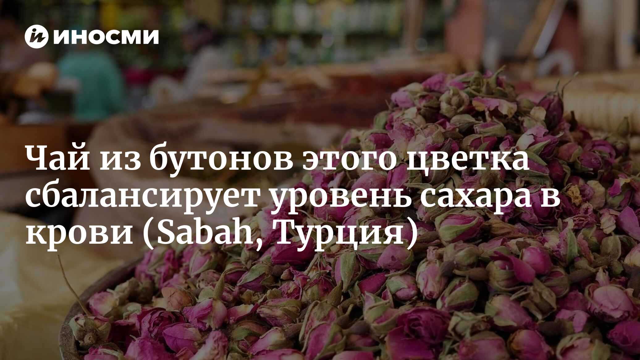 Каковы свойства чая из роз? При каких заболеваниях и чем помогает, как его  употребляют? (Sabah, Турция) | 18.02.2023, ИноСМИ