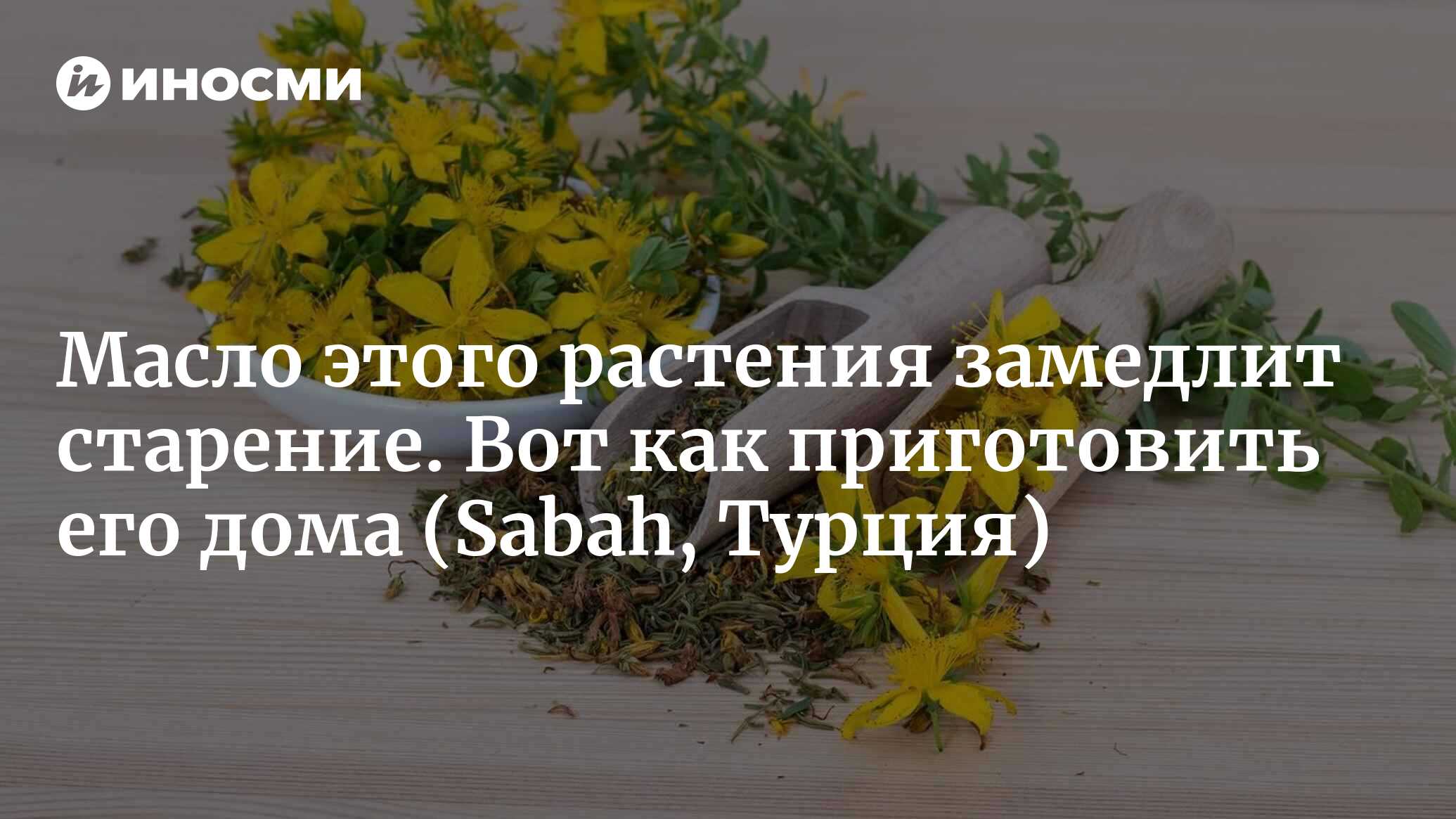 В чем польза зверобойного масла? При каких заболеваниях помогает, чем  хорошо и как действует на кожу? (Sabah, Турция) | 25.02.2023, ИноСМИ