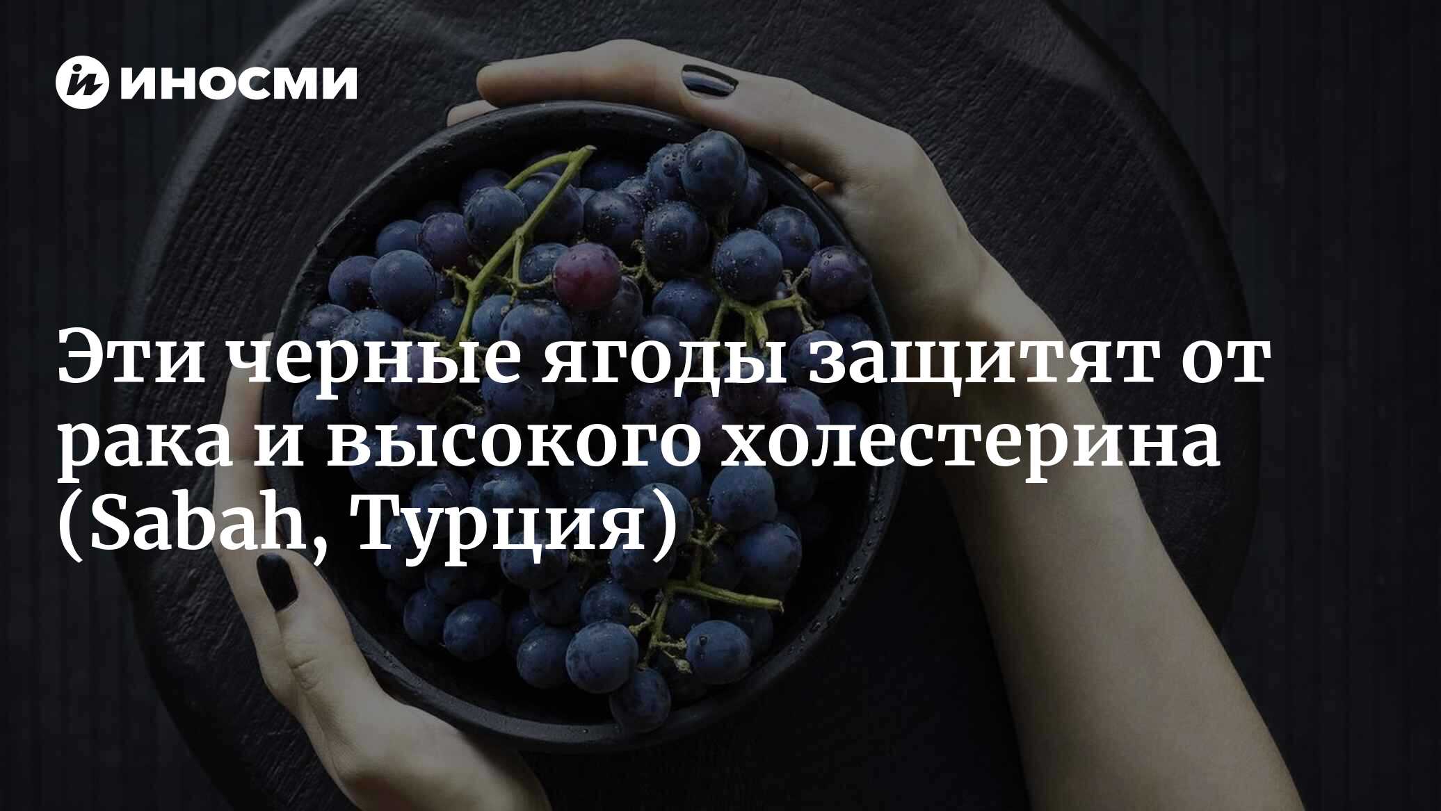 Каковы преимущества черного винограда? Чем он полезен и при каких  заболеваниях помогает? (Sabah, Турция) | 05.03.2023, ИноСМИ