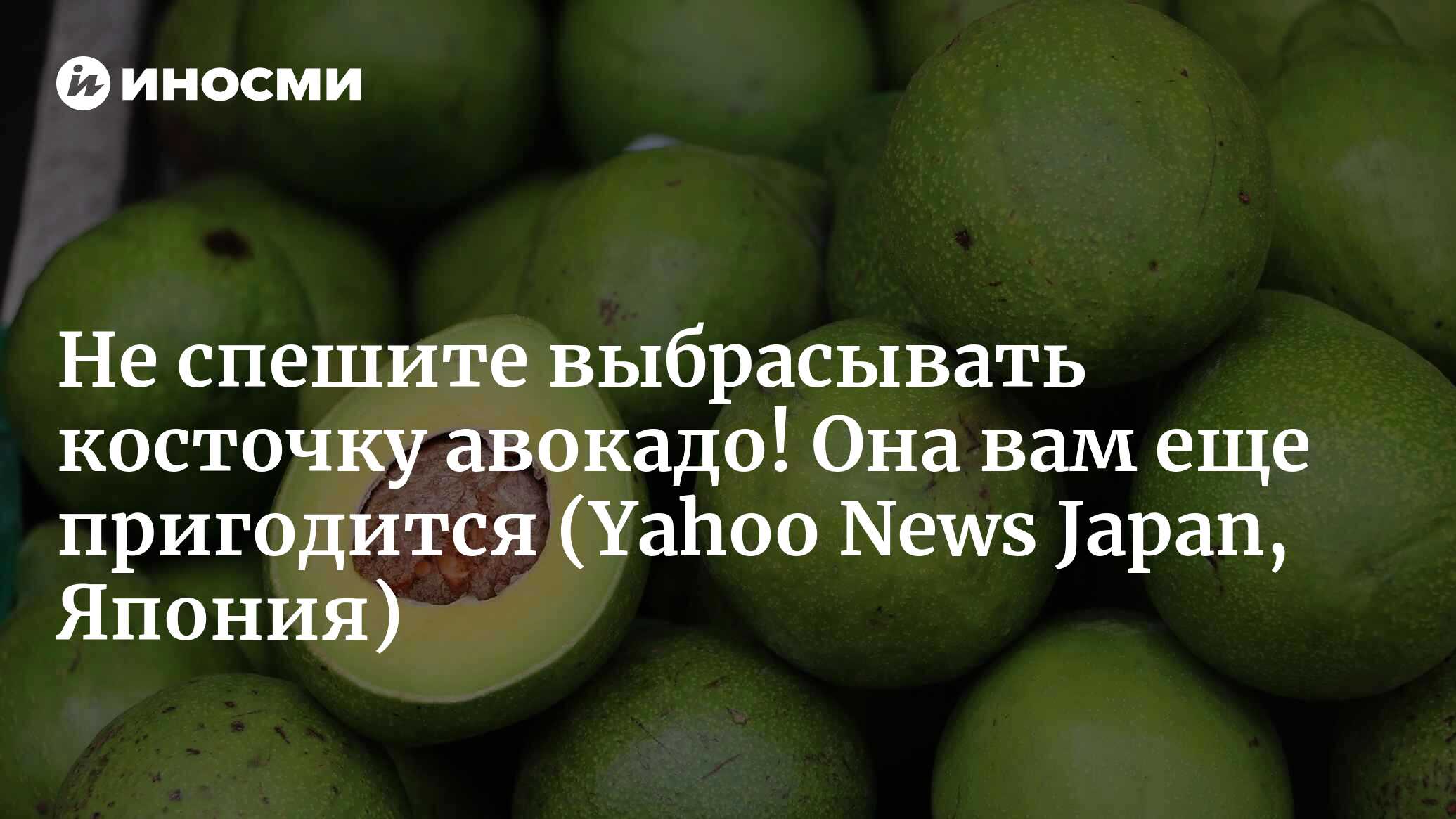 Если бы знал, то не выбросил бы! Как извлечь максимум пользы из питательной косточки  авокадо (Yahoo News Japan, Япония) | 08.03.2023, ИноСМИ