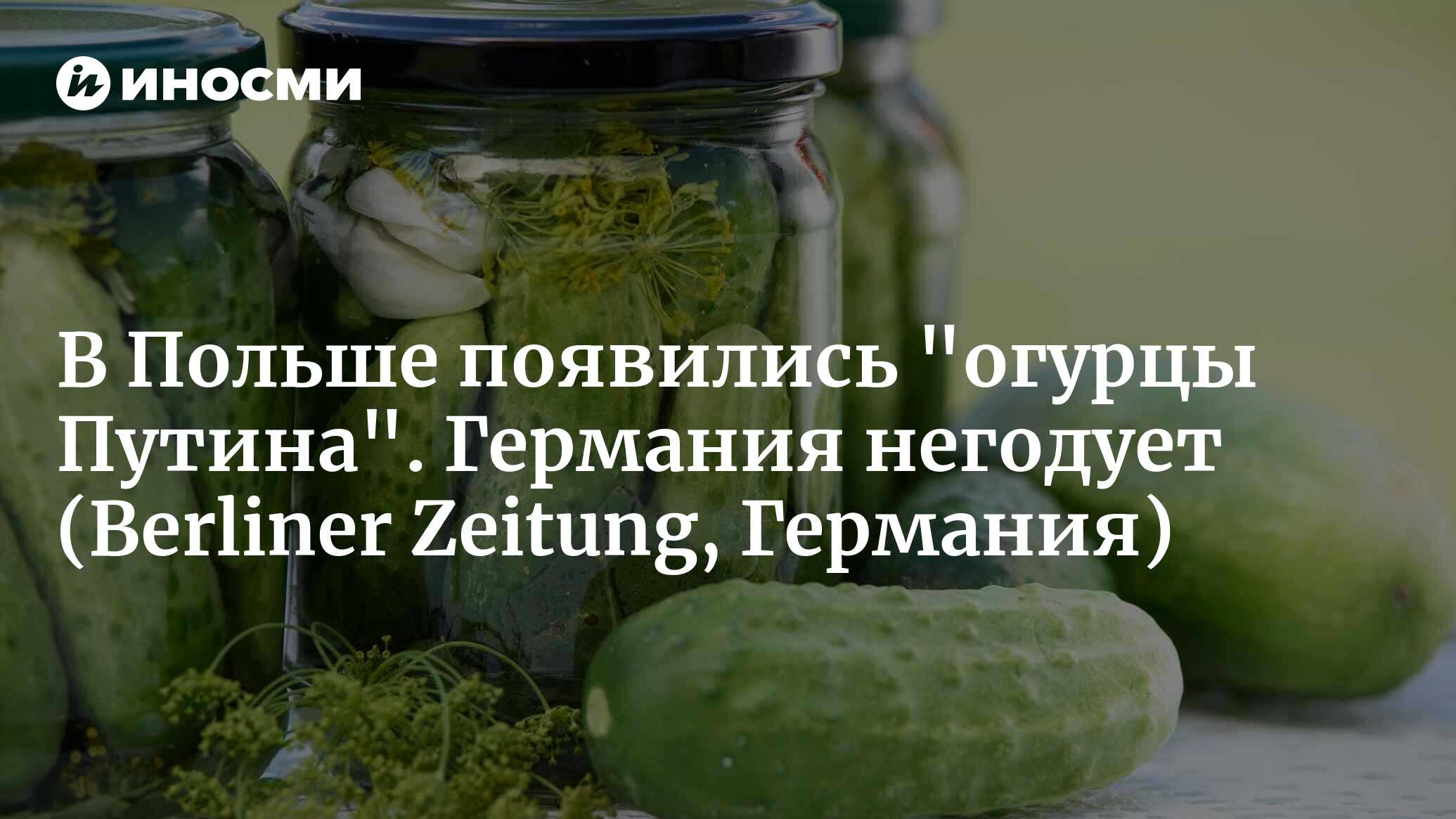 "Огурцы Путина": дешевые овощи из России в Варшаве | 17.03.2023, ИноСМИ
