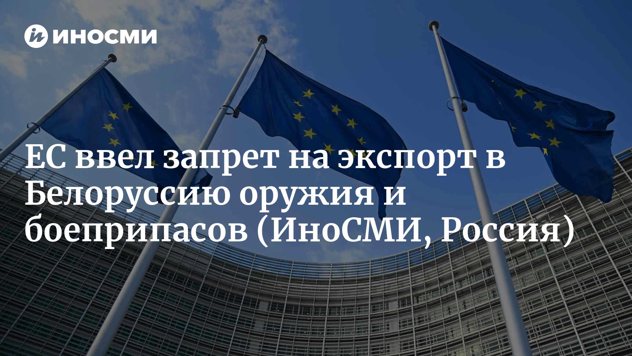 Евросоюз ввел запрет на экспорт в Белоруссию оружия и боеприпасов | 03. ...