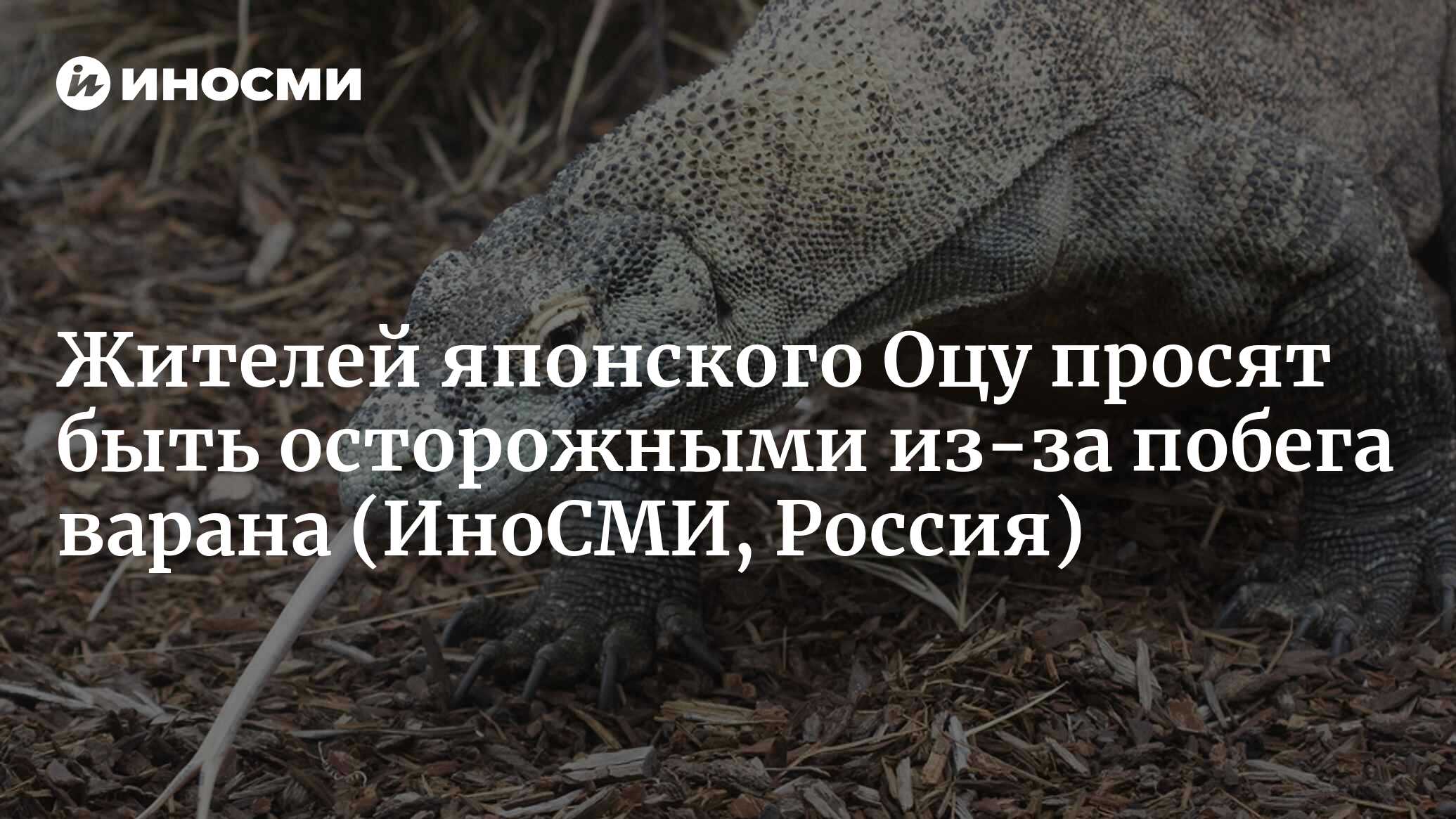 В японском Оцу из дома сбежал 80-сантиметровый варан | 27.08.2023, ИноСМИ