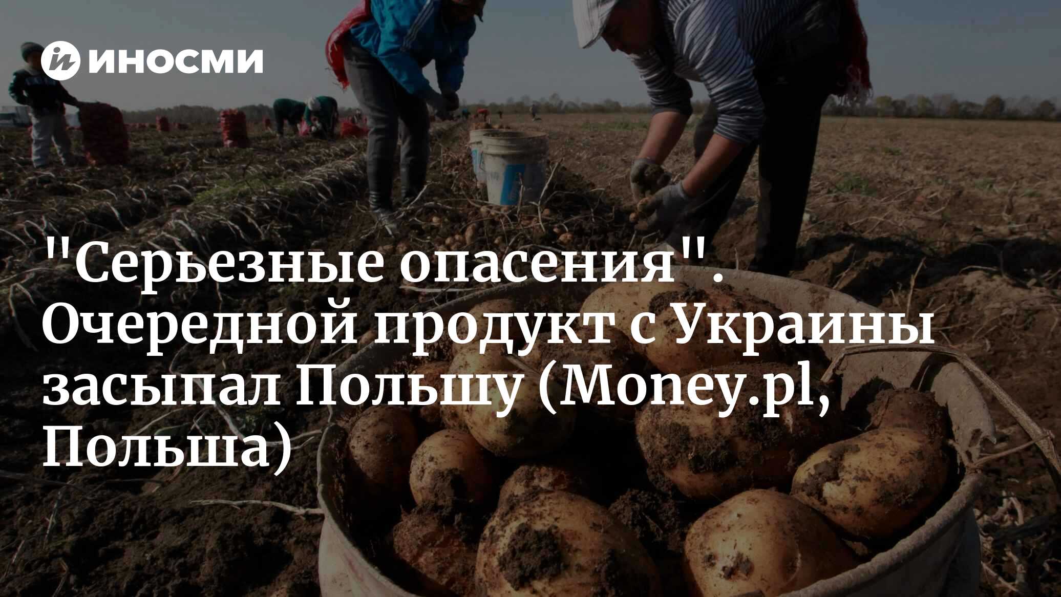 1781 от 25. сколько/стоит/гривенник/меньшикова. монета рубль екатерина 2 1793г. 10 2023. 1781 от 25.