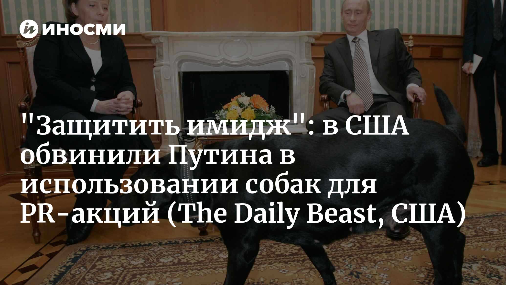 Как Путин использует своих собак для хитрых уловок (The Daily Beast, США) |  24.06.2024, ИноСМИ